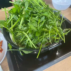 등촌샤브칼국수 사진