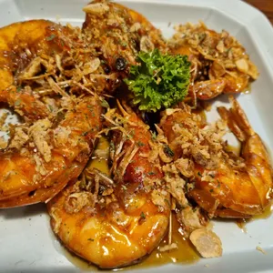 능두네 사진