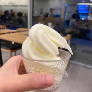 샤브올데이 사진