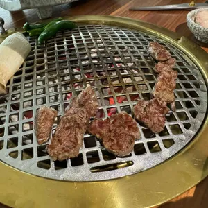 더금송 사진