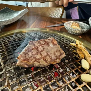 더금송 사진