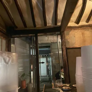 식물 리뷰 사진