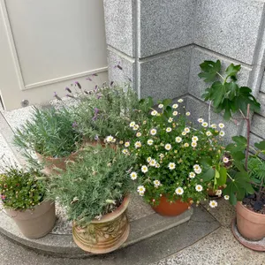데이 오프 나이트 리뷰 사진