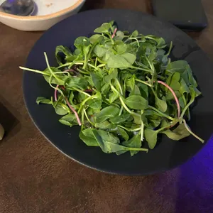 야나기 사진