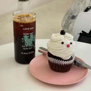 필로 사진