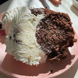 필로 사진