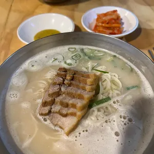 국시코기 사진