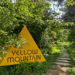 옐로우마운틴 리뷰 사진