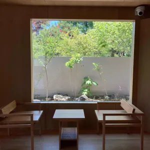 시카사 리뷰 사진