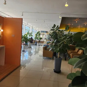 진루아쏘 리뷰 사진