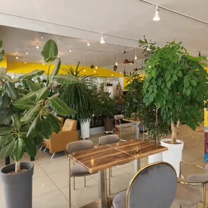 진루아쏘 리뷰 사진