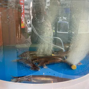 영등포 오징어 사진