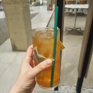 페트라 사진