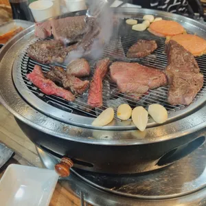 거목 사진