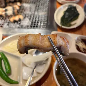 장어사냥 사진