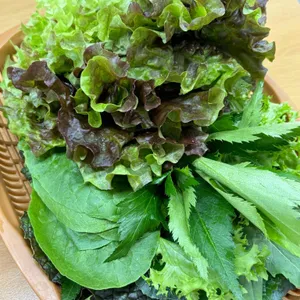 우렁쌈밥 리뷰 사진