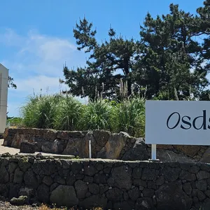 Osds 협재 리뷰 사진