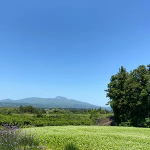 볼스 카페 리뷰 사진