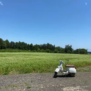 볼스 카페 리뷰 사진