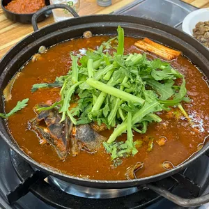 성난 물고기 사진