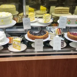 도레도레 리뷰 사진