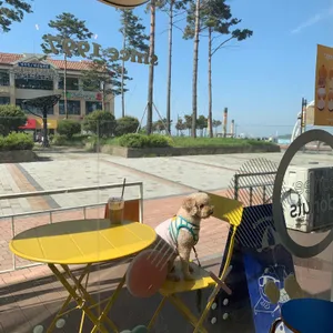 도너츠윤 리뷰 사진