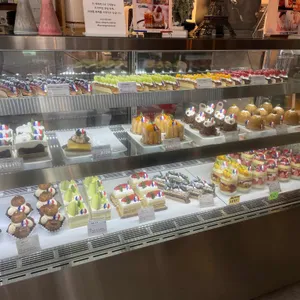 갸또드레브 사진