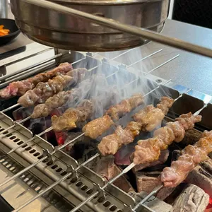 태양부양꼬치 사진