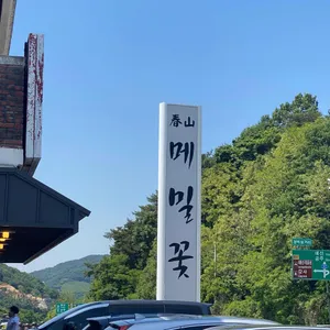춘산메밀꽃 리뷰 사진