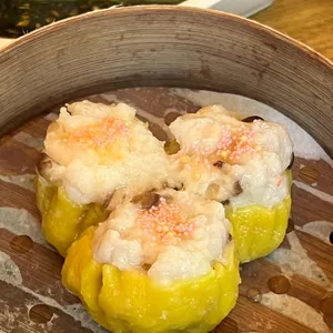 딤타오 리뷰 사진