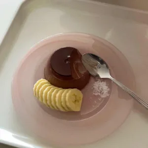 푸딩푸딩 사진