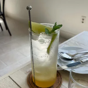 꼬띠 사진