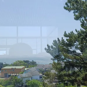 을항 리뷰 사진