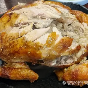 참나무 사진