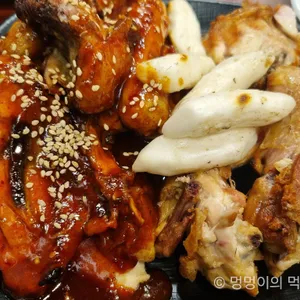 참나무 사진