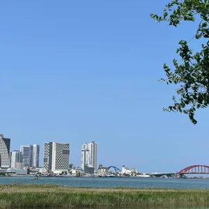 단천면옥 리뷰 사진