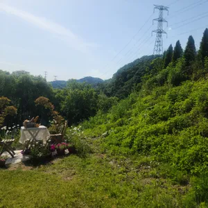 숲너울 리뷰 사진