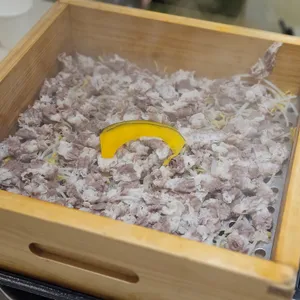 편백가원 사진