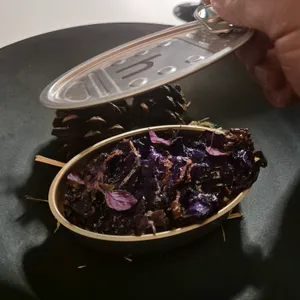윌로뜨 사진