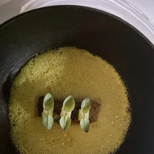 윌로뜨 사진