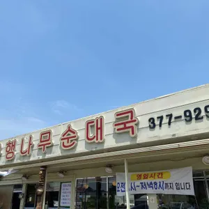 은행나무순대국 리뷰 사진