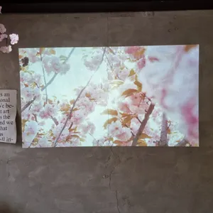 파사도 리뷰 사진