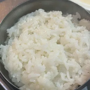 도새기 사진