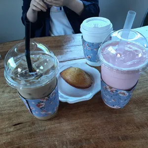 연리지 사진