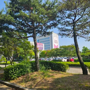 송천피순대 리뷰 사진