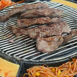 꼴통갈매기 사진