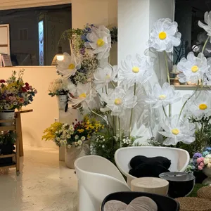 오후두시 사진