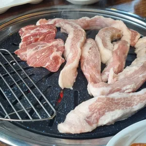 육터 사진