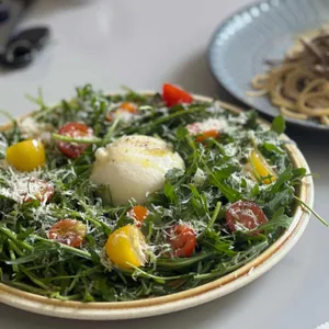 홀란드 사진