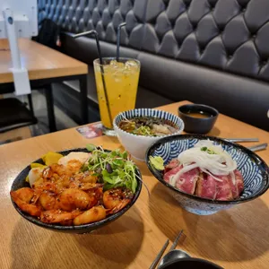 홍대개미 사진